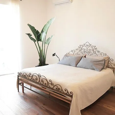 Amira Home-2